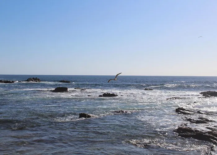 Vitaminsea El By Privilege Bay 아파트 Cotillo